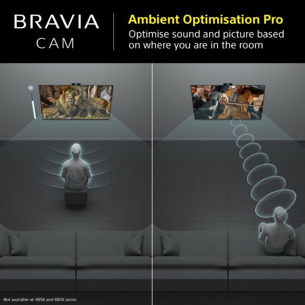 Sony CMUBC1_CE7 Bravia Web Cam_vision