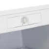 Sensis RFTLF01Z54EW 54.8cm Low Frost Tall Freezer - White_controls