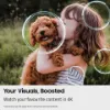 Samsung UE43U8020FKXXU 43" 4K Crystal UHD Smart TV_visuals