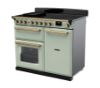 Rangemaster 18094 Estel Deluxe 100 Induction Range Cooker in Mint with Antique Brass Trim - ESDL100EIPMNT/AB1_angled view