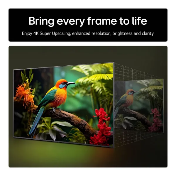 LG 50UA74006LB.AEK 50" 4K Ultra HD Smart TV_bring every frame to life
