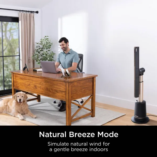 Shark 307TF200SUK TurboBlade Multi-Directional Cooling Fan - Charcoal, Beat Brass_natural breeze mode