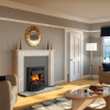 Dimplex DNV20BL Danville Black Inset Electric Fire 