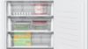 Bosch GUN21VFE0G Built Under Freezer 