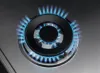 AEG HGB75420YM 6000 Slim Line Gas Hob Stainless Steel_Wok Burner Detail
