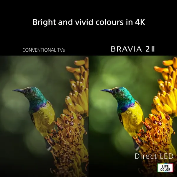 Sony K43S25M2PB.UKA 43" 4K BRAVIA 2 II Direct LED Google TV_colour