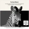 LG OLED83C66LB.AEK 83" 4K OLED Smart TV _perfect black