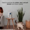 Shark HP062UK BreatheClear Compact Air Purifier with NeverChange6 - Dove_detection